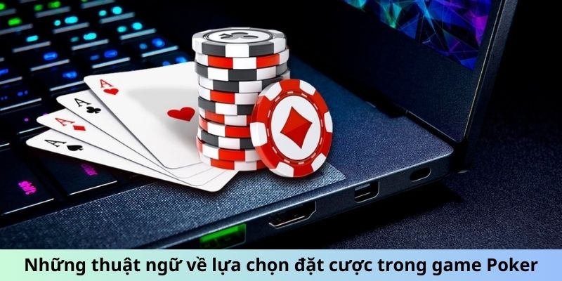 Những thuật ngữ về lựa chọn đặt cược trong game Poker